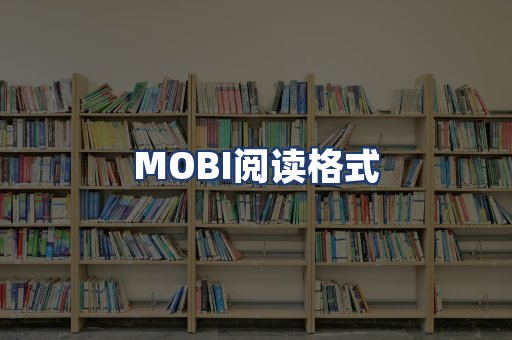 MOBI阅读格式